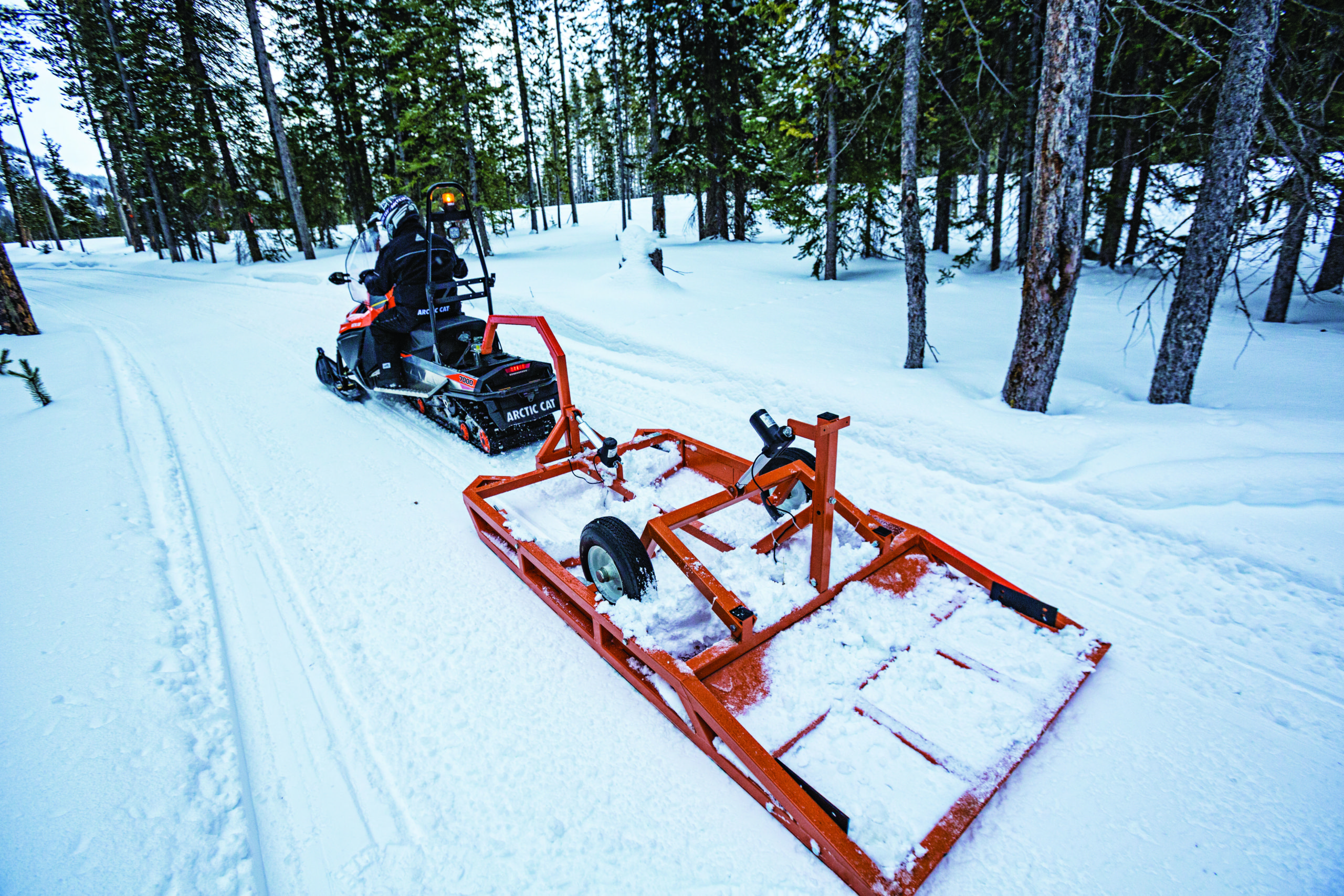 Mountain Grooming Equipment » BearcatXTGS_L_2016_1738