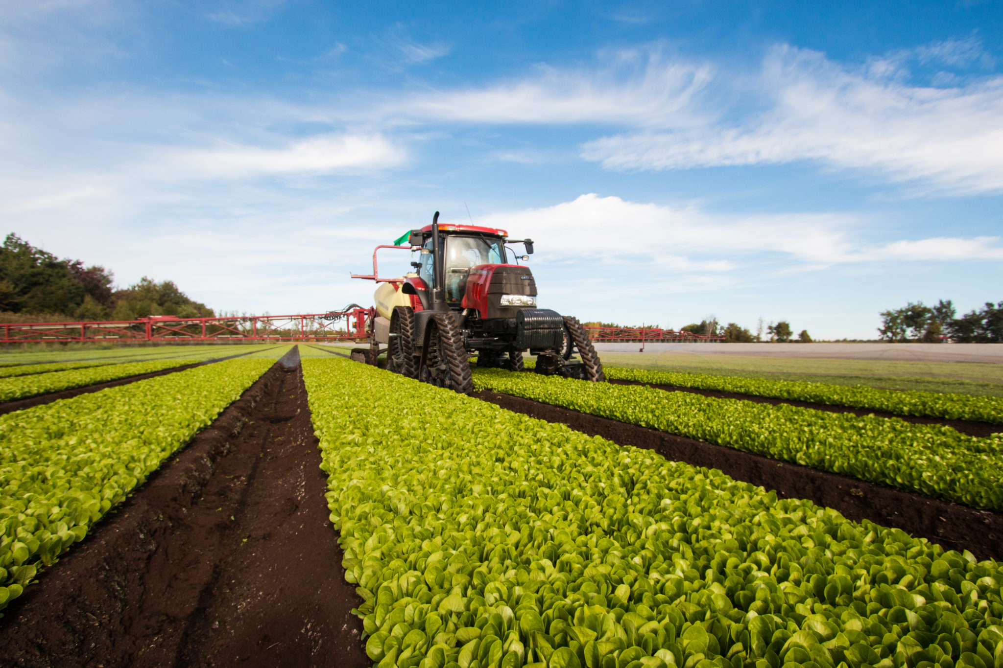 Mountain Grooming Equipment » Snow grooming equipment